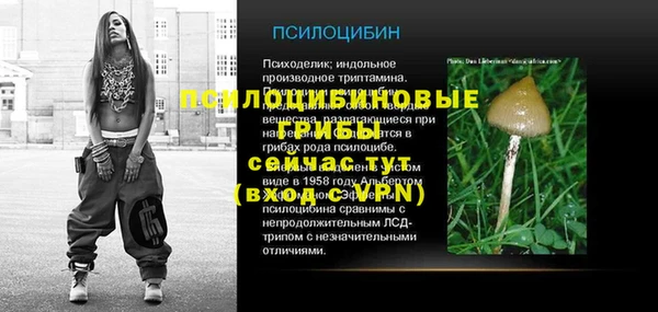 герыч Арсеньев